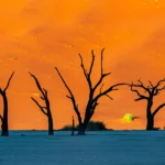 blogtime12
